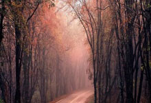 开云下载-葡萄牙男足力克捷克队，晋级半决赛的荣耀之路