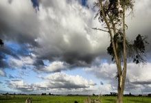 开云下载-瑞典客场逆转罗马尼亚，提前锁定欧预赛小组第一的精彩瞬间