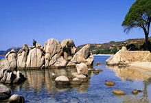 开云体育登录-卡尔蒂斯攻防转换加快，比赛节奏全面提升