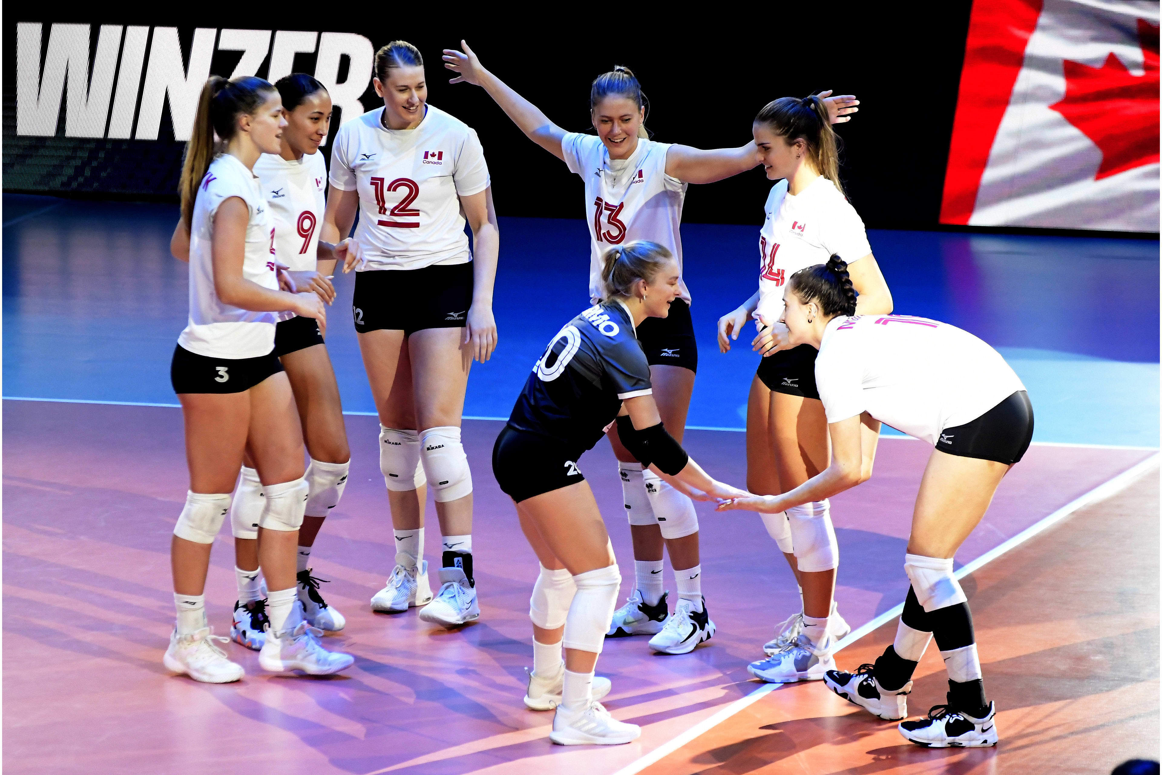 荷兰女子球队集训邀请意大利名帅担当顾问的简单介绍