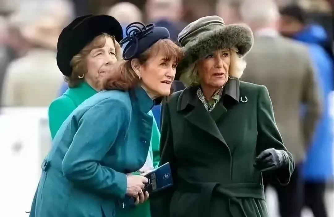 柏林赫塔遭遇连败，危机愈发严重