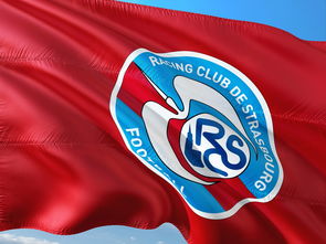 开云体育下载-帕尔梅拉斯球员伤愈归队，阵容进一步完整