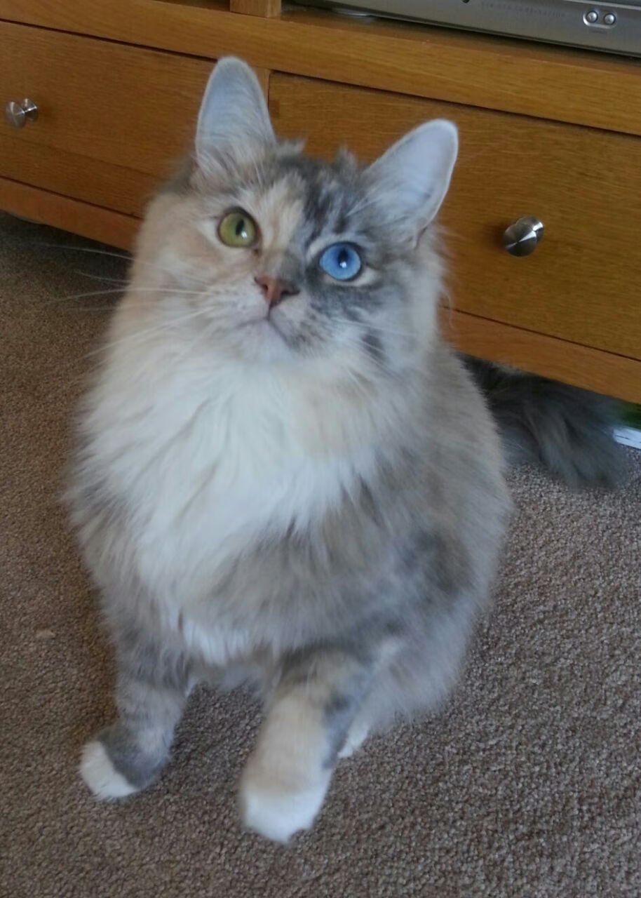 开云体育-奥斯梅恩闪耀导演逆转史诗，乌拉圭绝境翻盘牙买加，全场最佳无争议