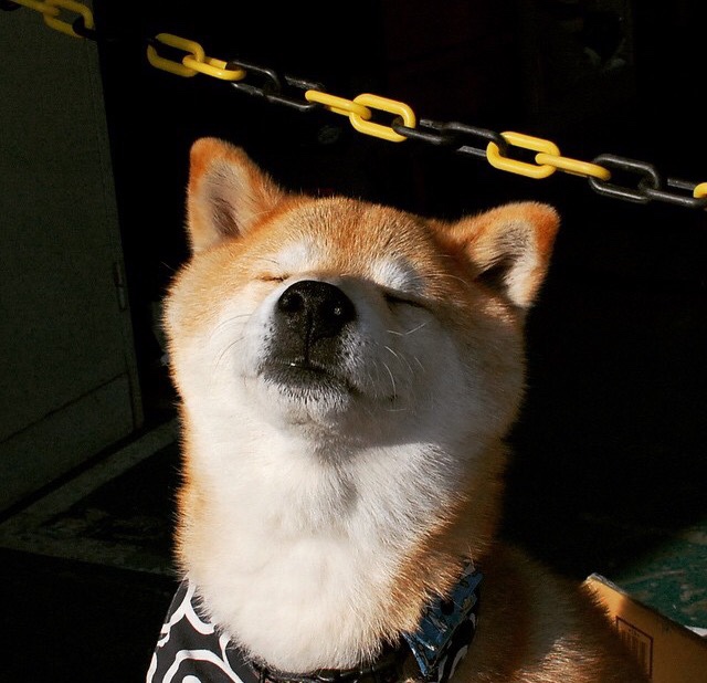 剑光划破伯纳乌，基耶萨，欧冠之夜的冷血艺术家