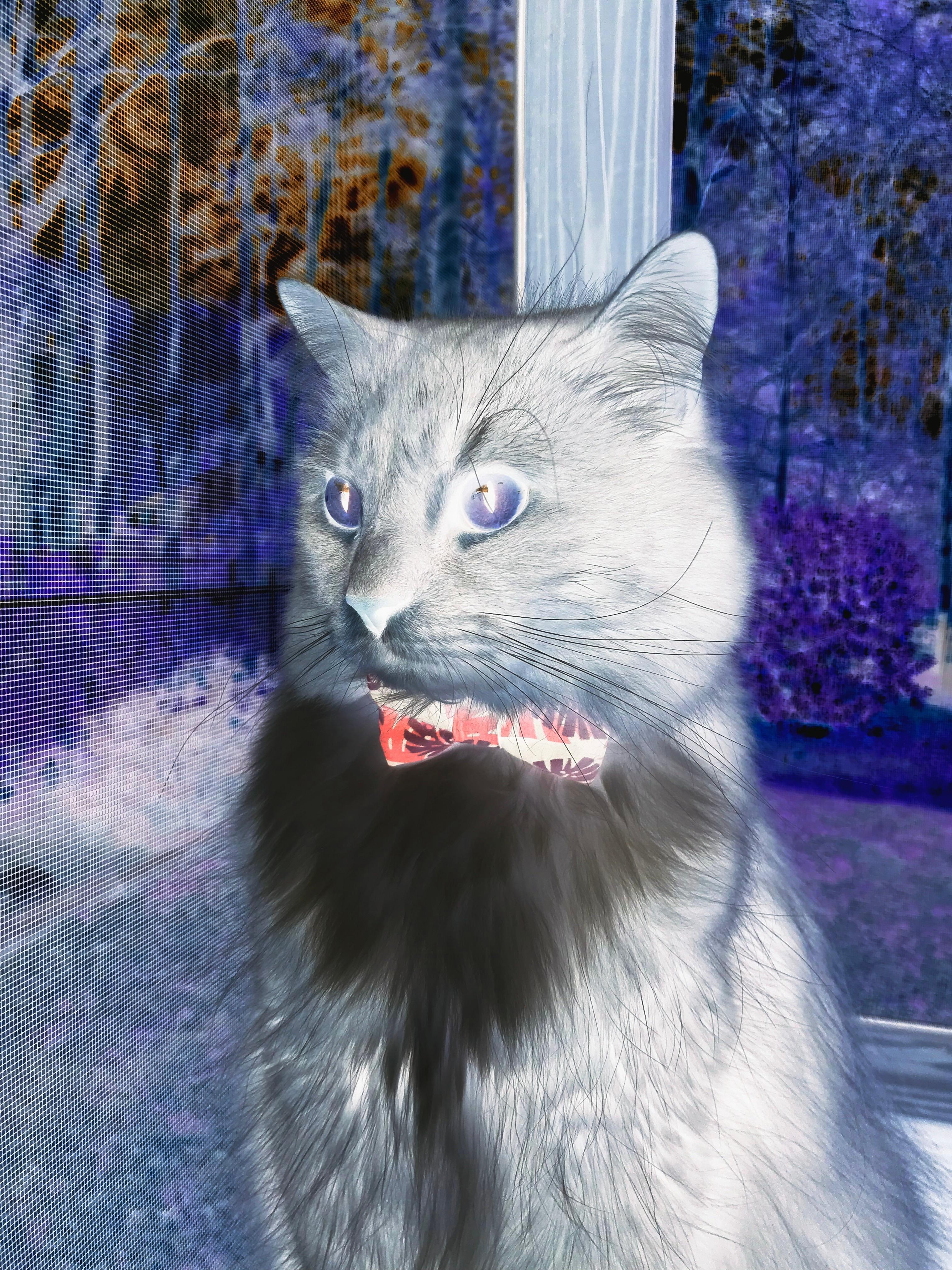 开云体育官网-铁血新篇章，韩国淘汰赛过关尤文，帕尔默攻防两端的统治传奇