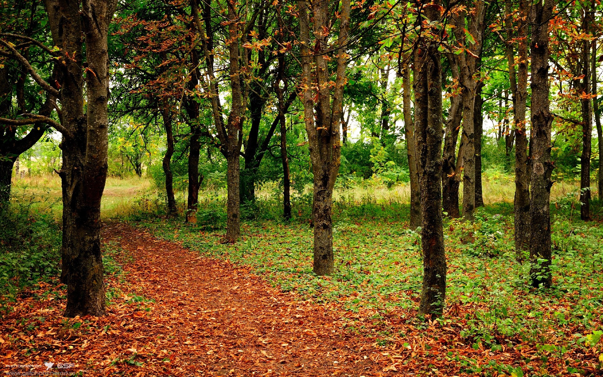 冰川之火，格纳布里撕裂曼联防线