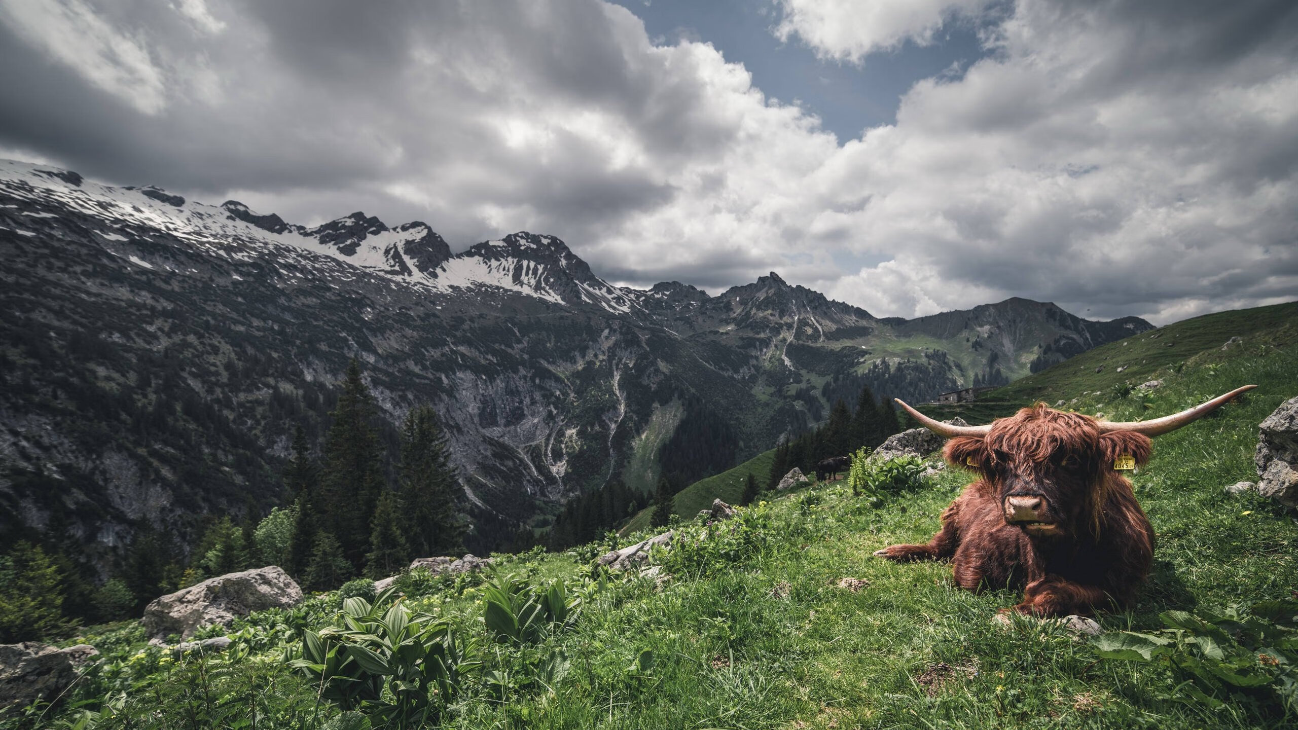 巴拉圭钢铁防线锁死AC米兰，马丁内利终成关键先生