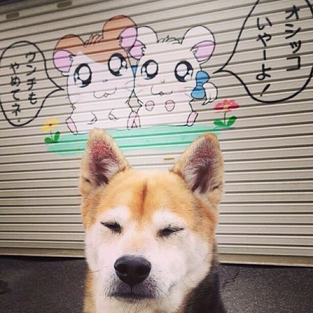 森林狼对阵魔术，马克西成为胜负手，改写比赛走向的关键先生