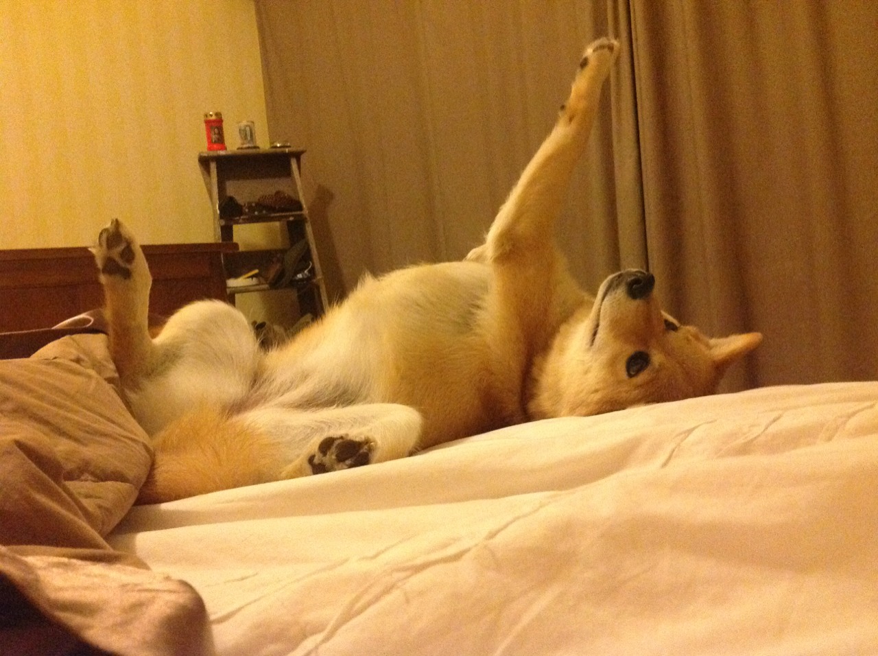 尼克斯铁血一波流，伦纳德证明舞台越大他越强