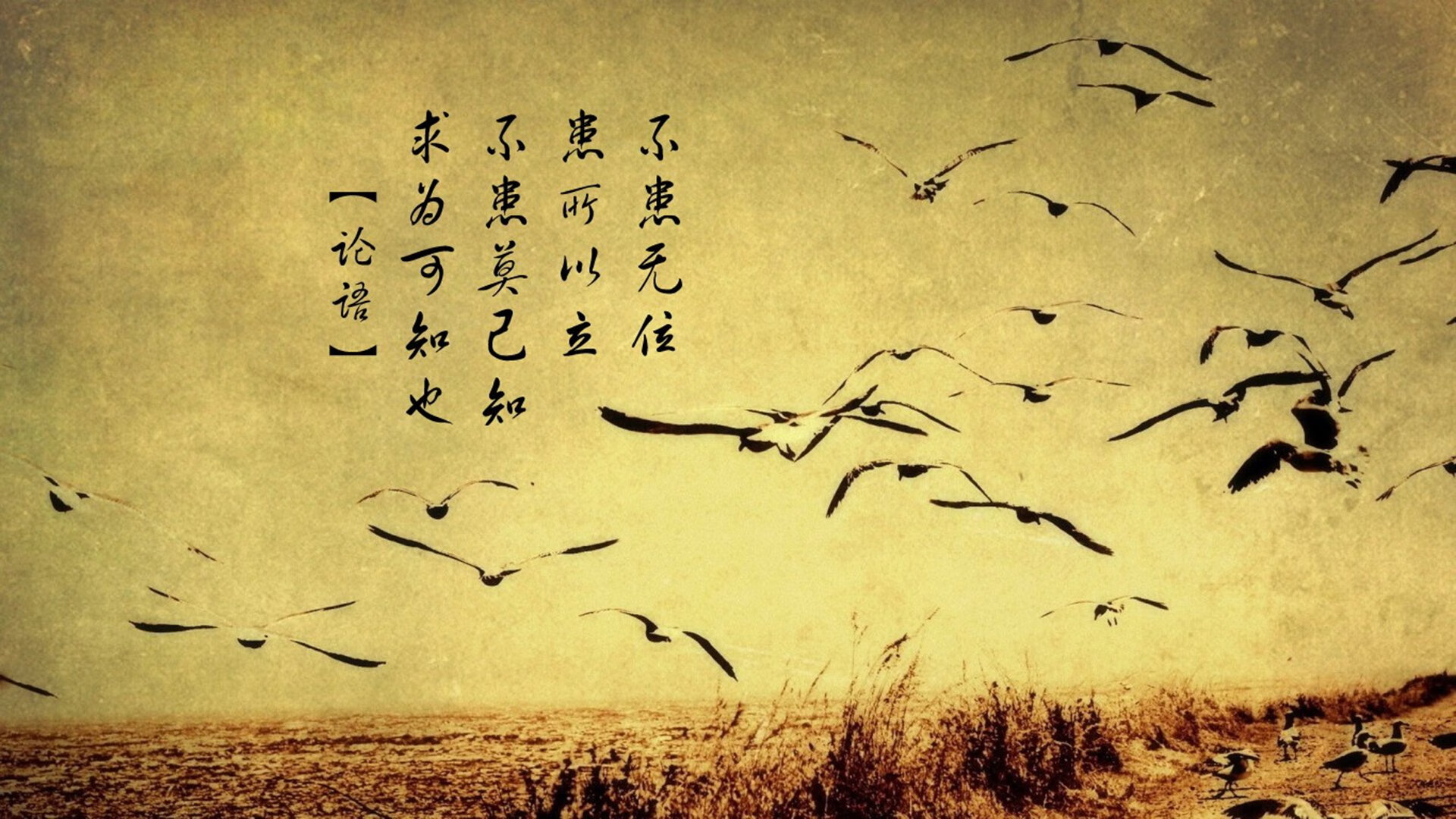 当绝杀成为习惯,绿茵场上的集体意志与个人天赋