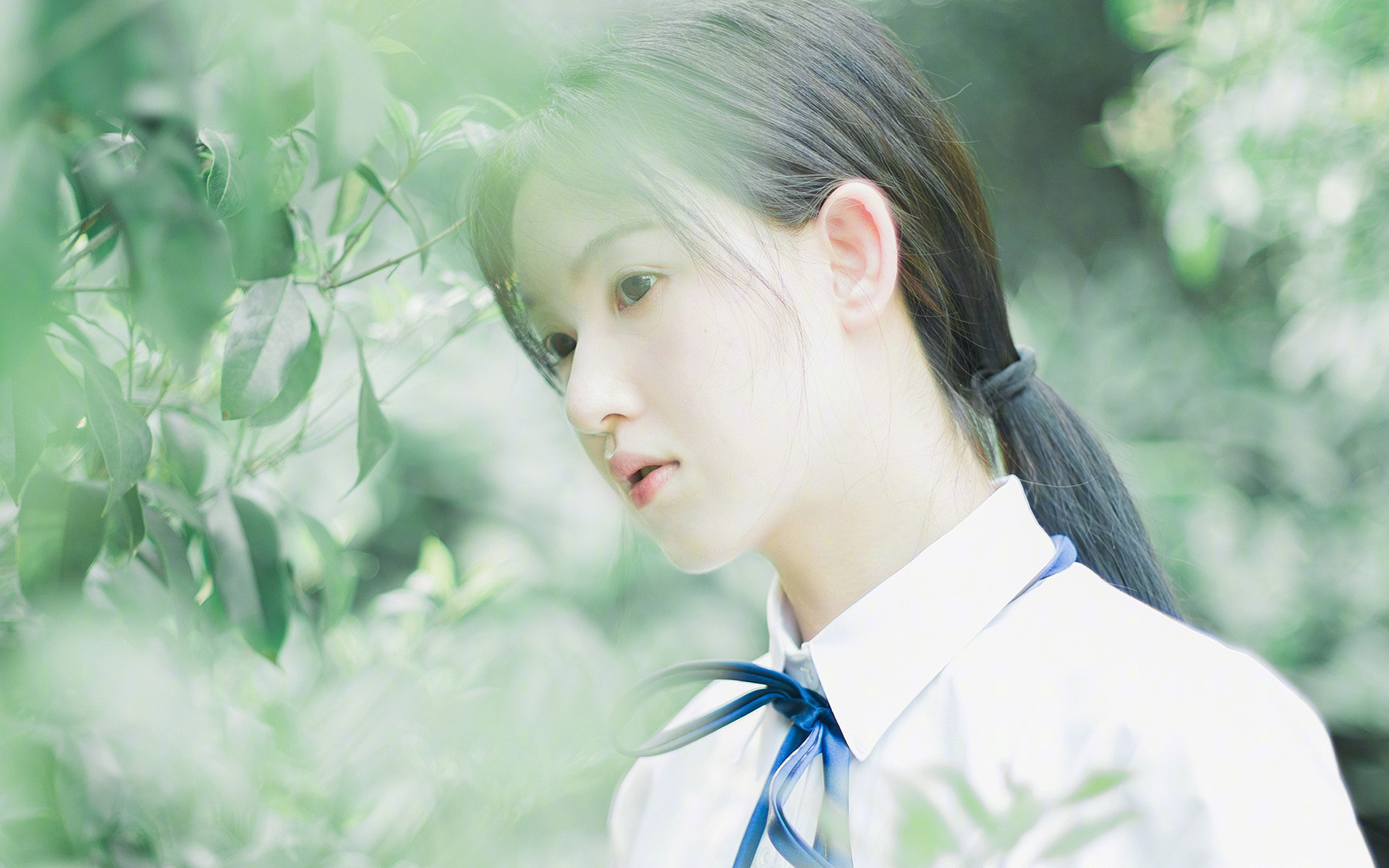 开云体育平台APP-双城记，欧冠的冰与火，CBA的旭日与山峦