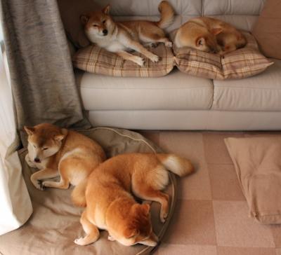 开云体育app-绿茵与硬木的双重奏，国家德比的激情与独行侠的团队胜利