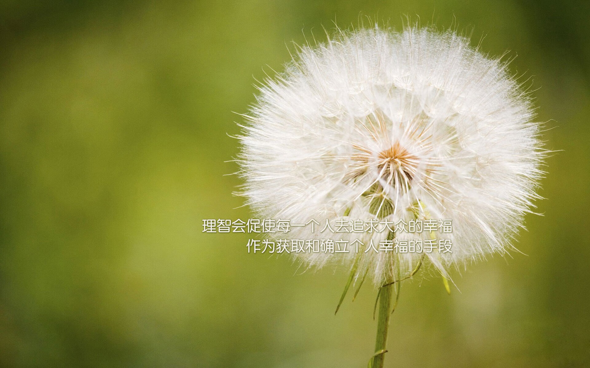 佩德里点燃赛场,希腊横扫土耳其,当体育成为和平年代的神话