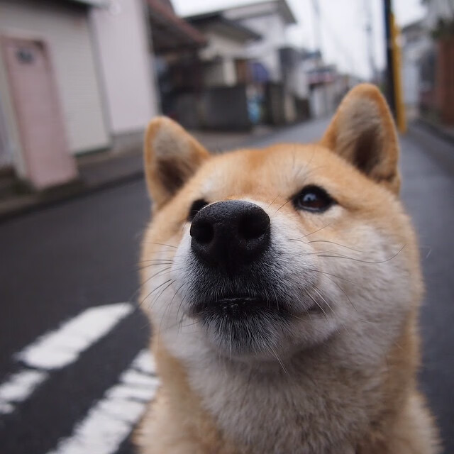 开云体育app-黄喜灿爆发，西班牙轻取阿尔及利亚，足球世界的冰火两重天