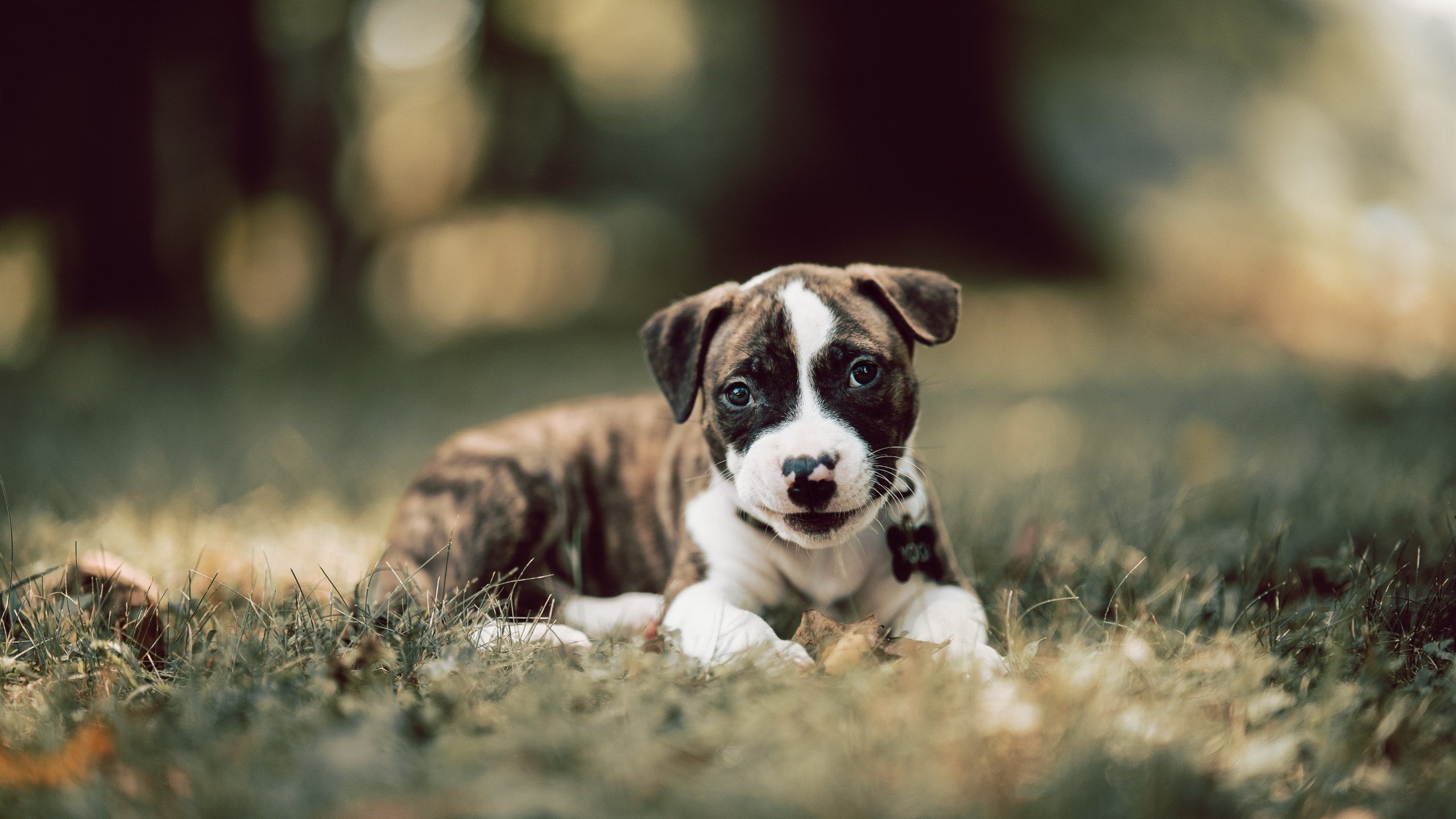 破局之战,从基多高原到非洲之角,一场足球如何搅动世界排名风云