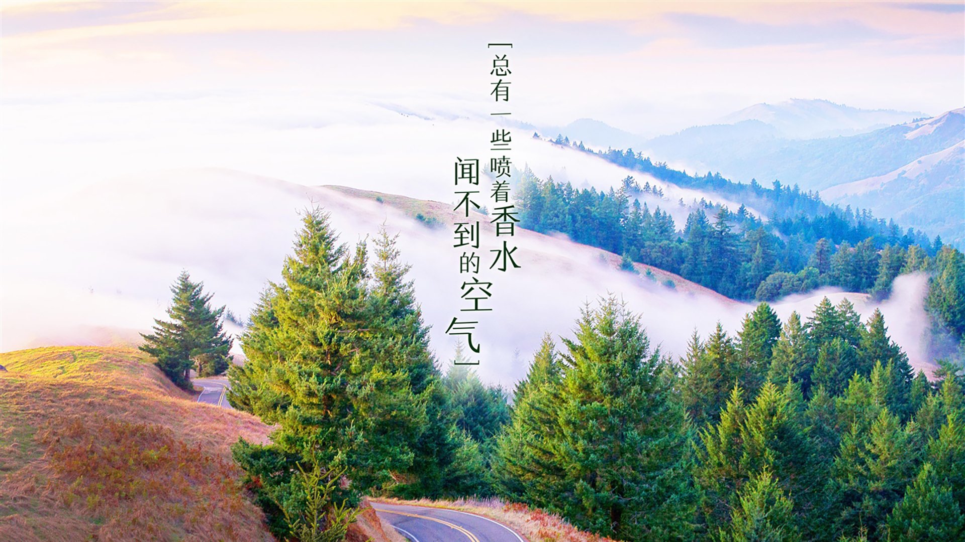 开云体育官网-沙漠风暴，卡塔尔击溃克罗地亚，努涅斯书写世界杯新传奇